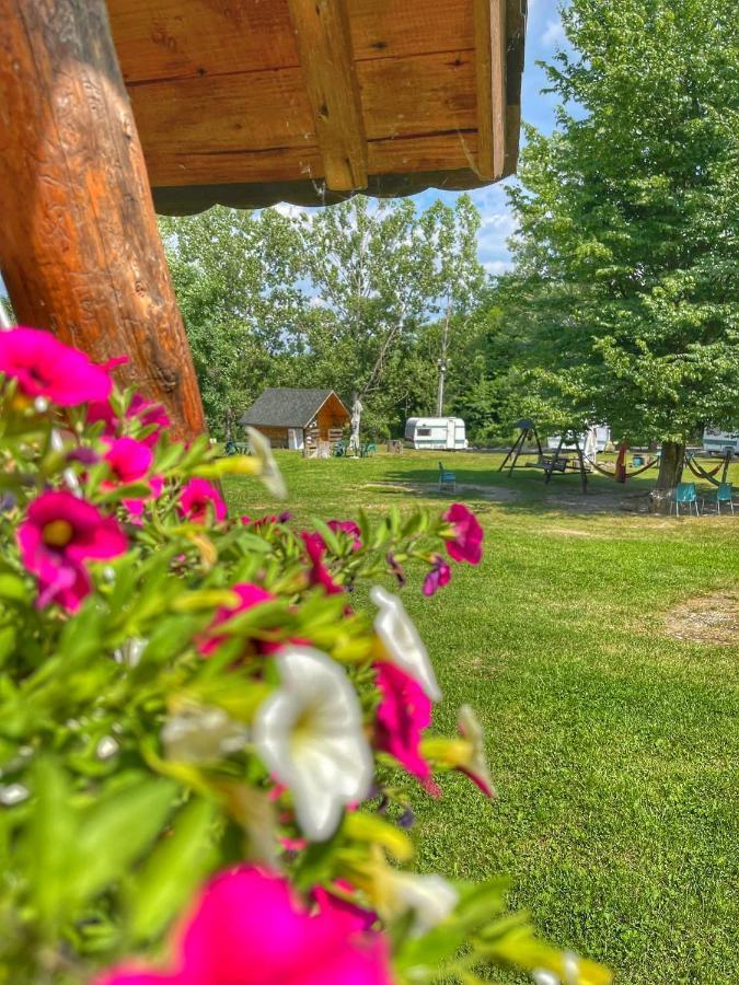 Camping Dragoske Ciofrîngeni Extérieur photo