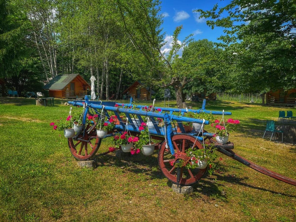 Camping Dragoske Ciofrîngeni Extérieur photo